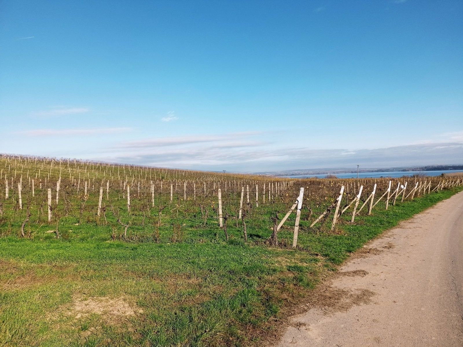 Pozemek · 9 794 m² · Pavlov - 4