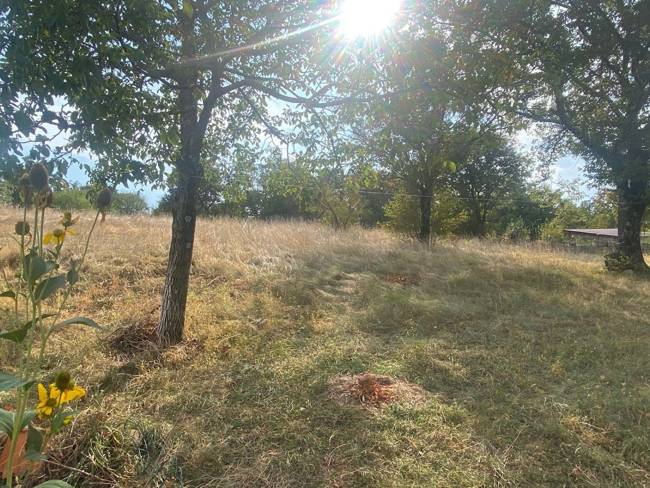 Pozemek pro bydlení, 4 176 m²