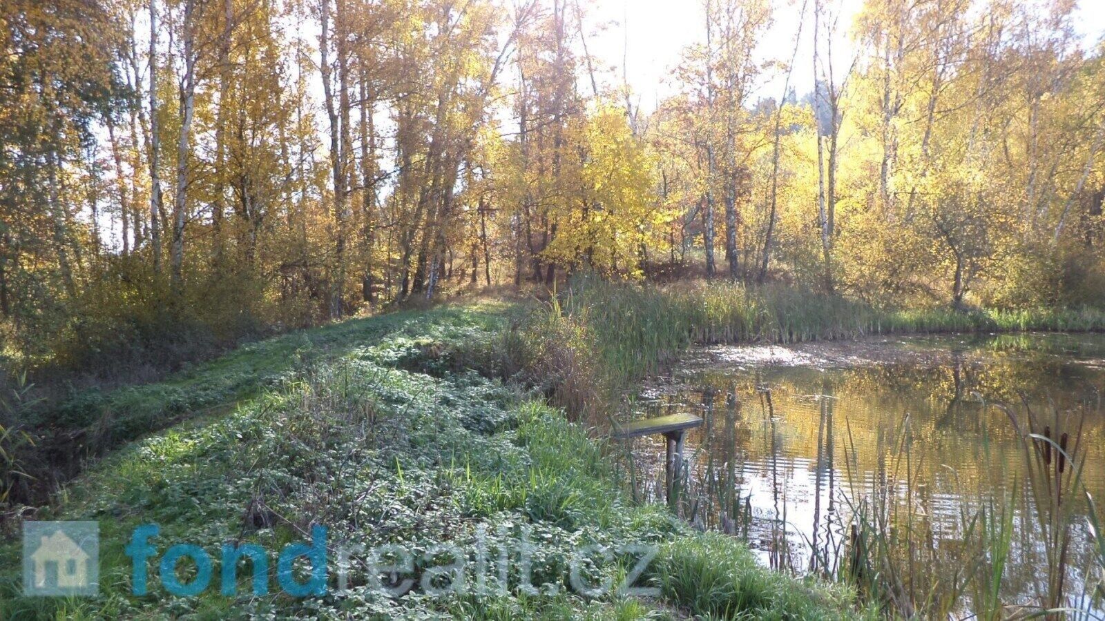 Ostatní, Borovná, 1 m²