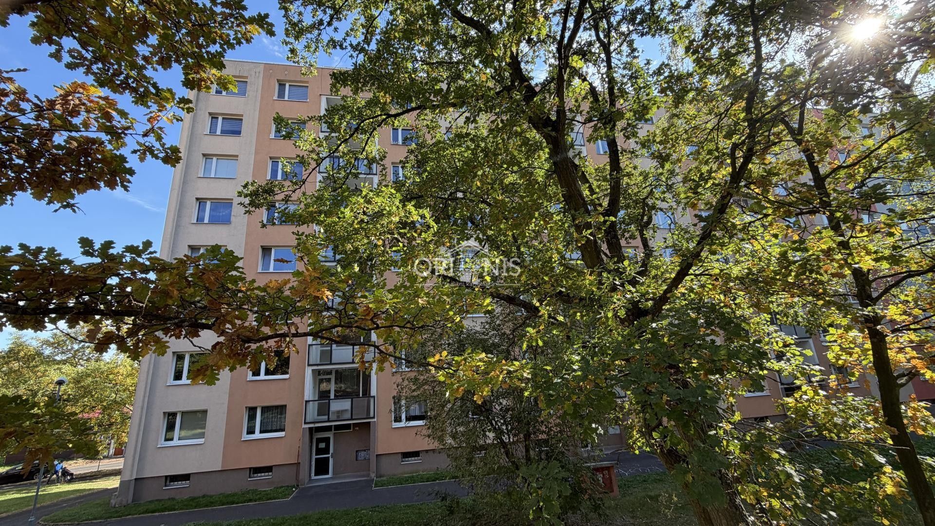 Byt 3+1, 80 m²