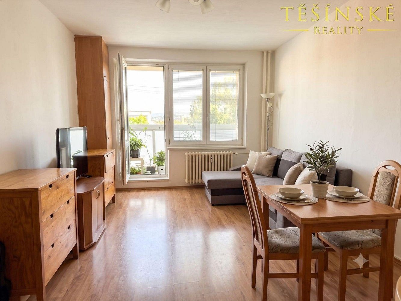 Byt 1+kk · 29 m² · Český Těšín, okres Karviná, Moravskoslezský kraj - 1
