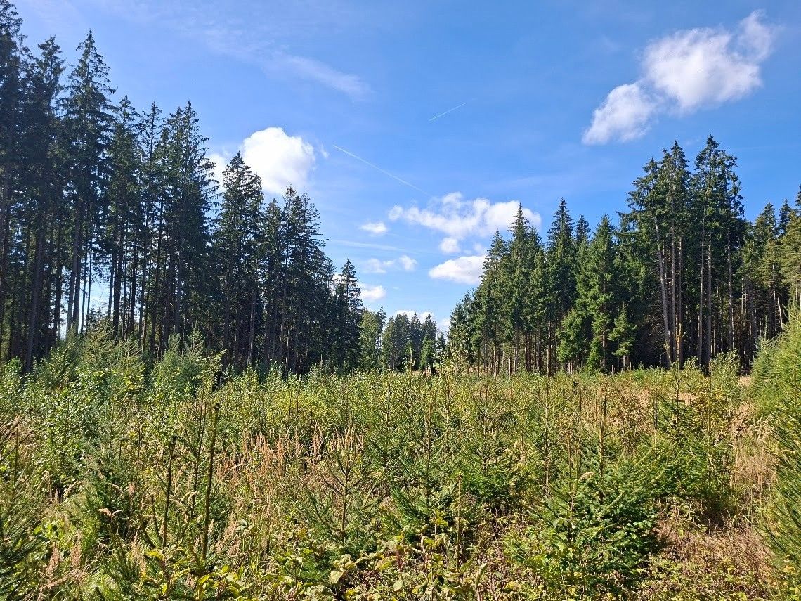Pozemek pro bydlení · Těmice u Kamenice nad Lipou, 394 96 - 3