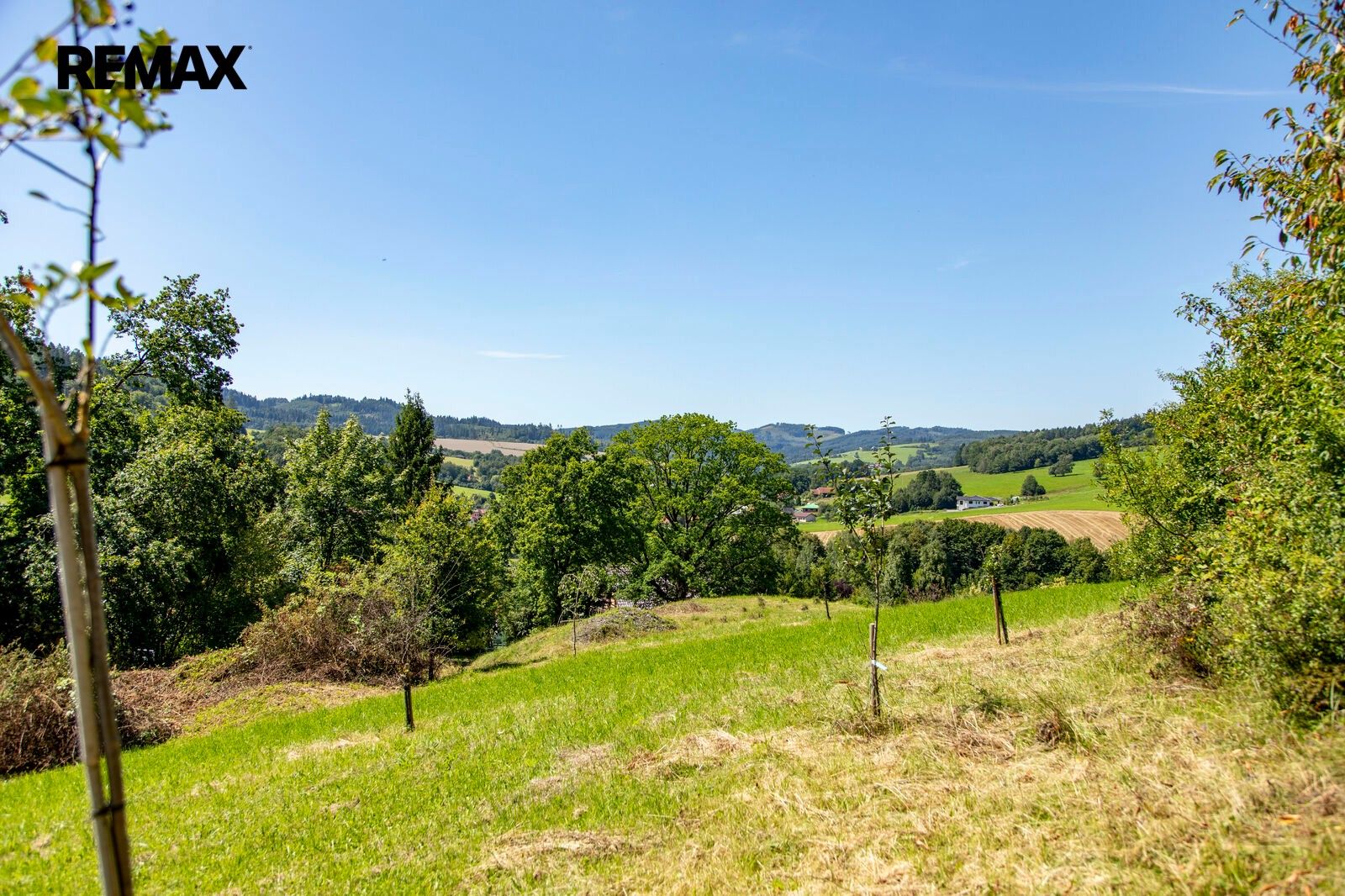 Prodej pozemek pro bydlení - Mikulůvka, 4 479 m² - 5