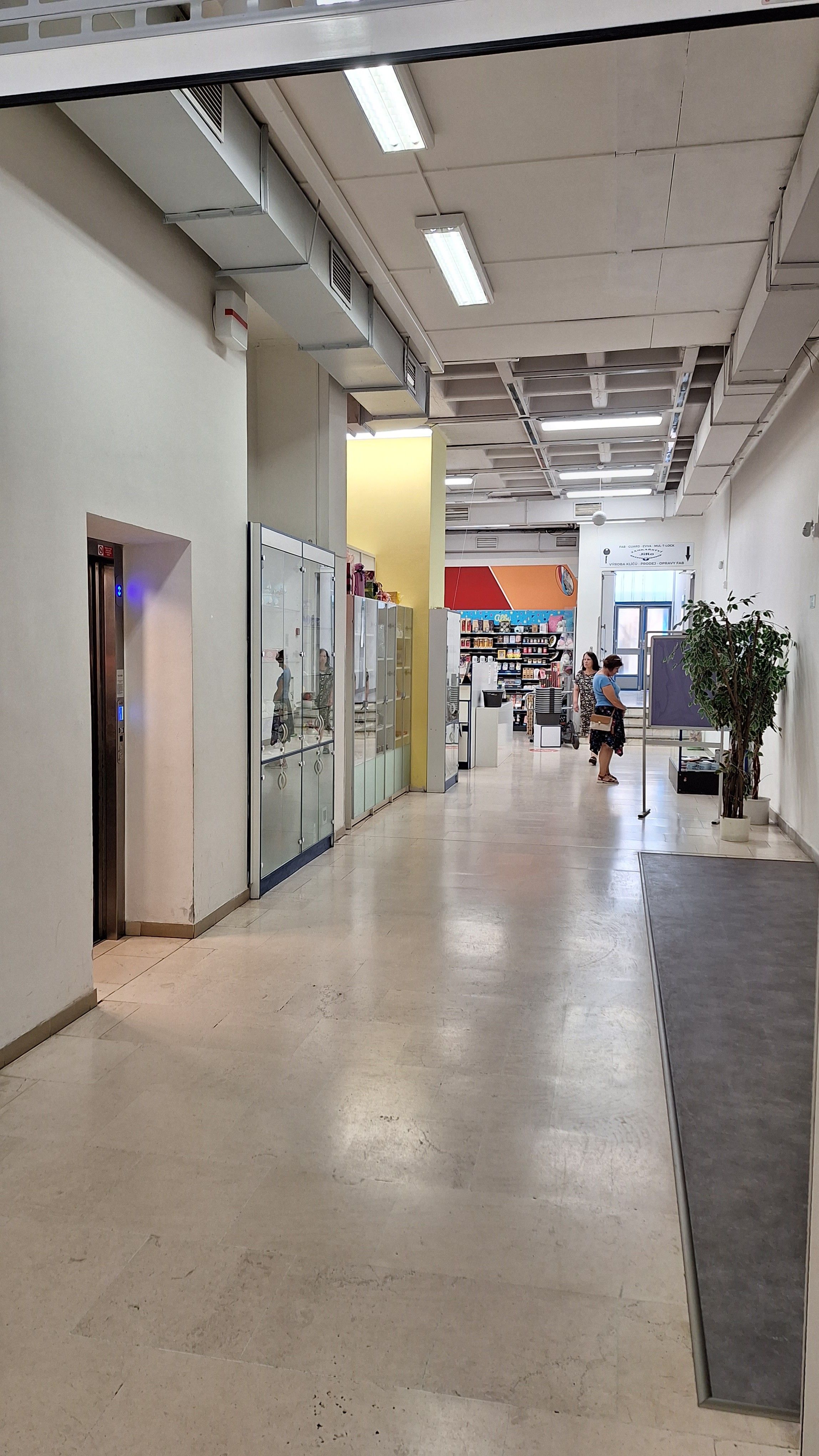 Pronájem obchodní prostory - Česká, Brno, 150 m²