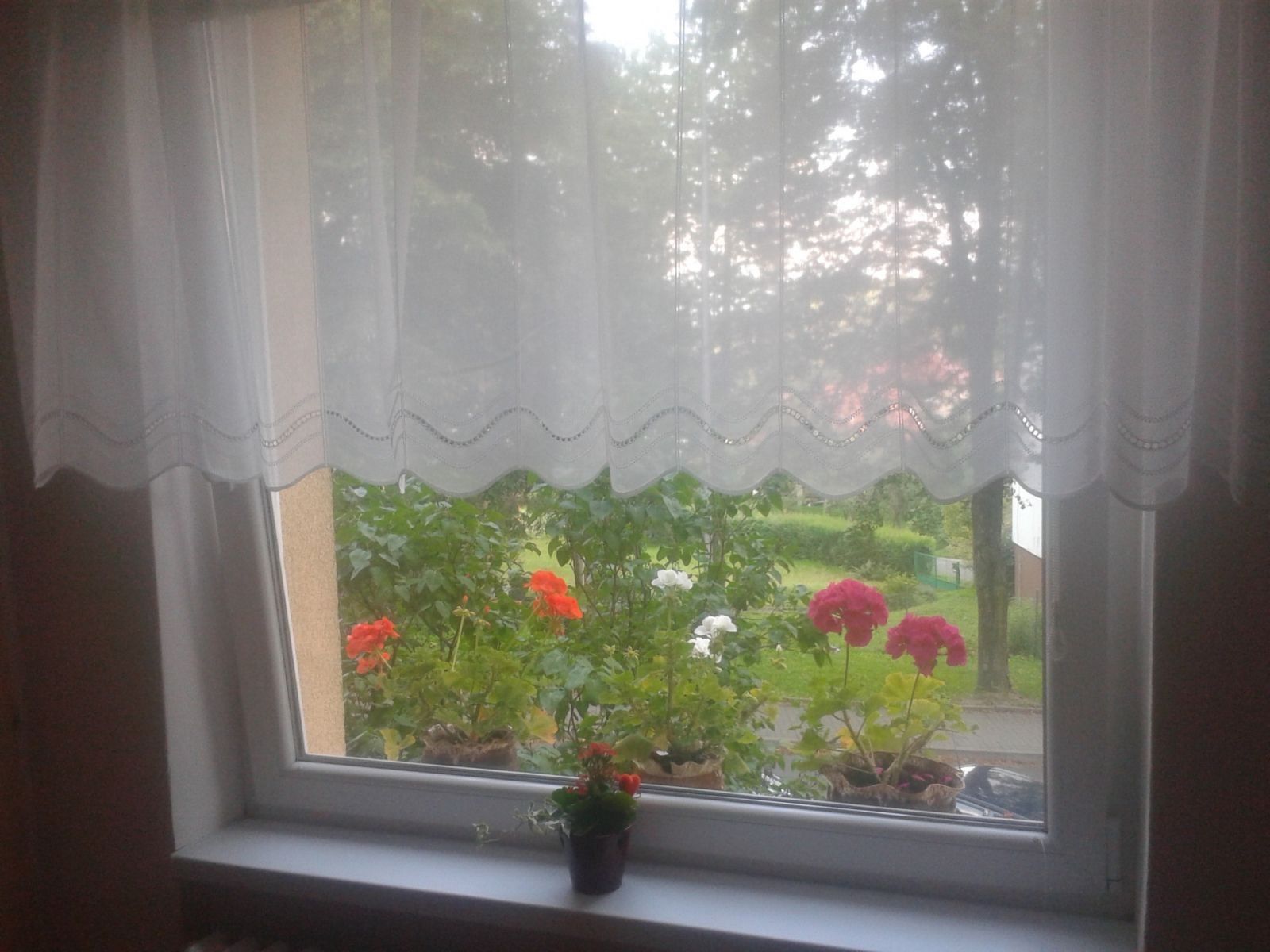 Byty, . května, Rožnov pod Radhoštěm - Rožnov pod Radhoštěm, Zlínský kraj, 40 m² - 1