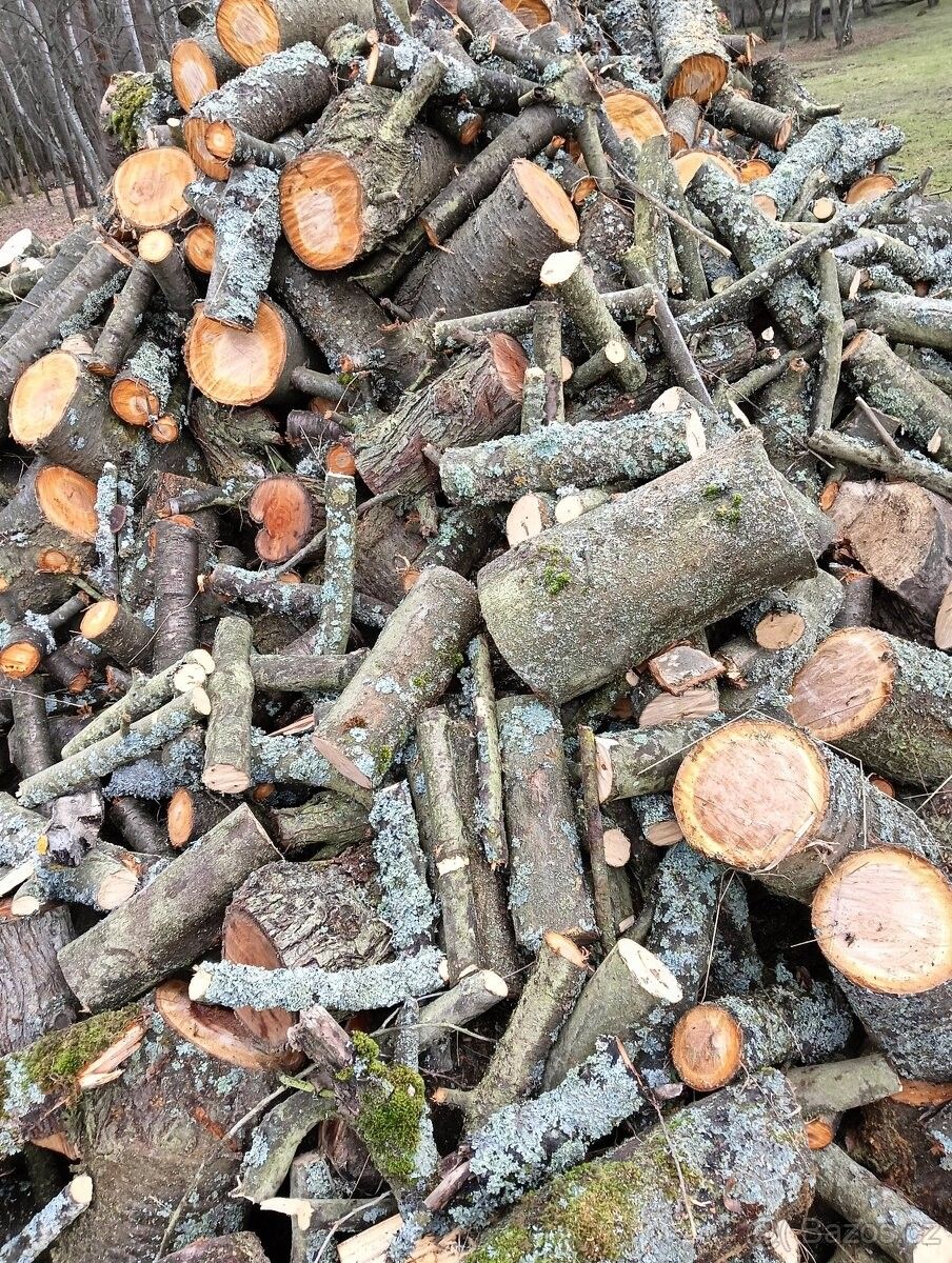 Prodej ostatní - Plzeň, 318 00