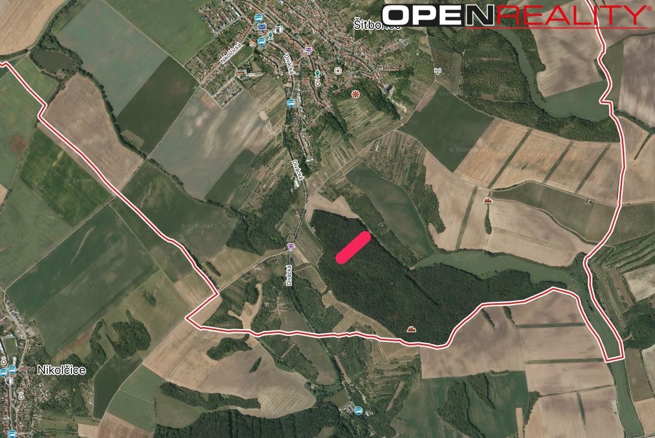 Lesy, Divácká, Šitbořice, 4 819 m² - 1