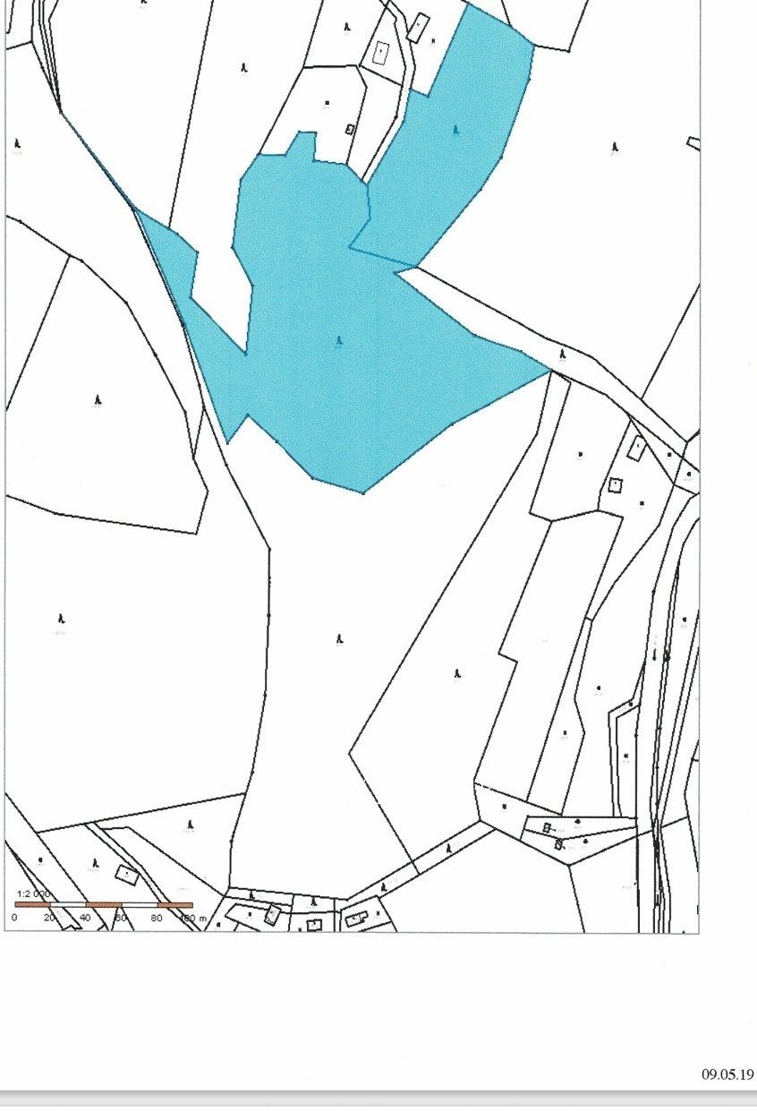 Prodej les - Morávka