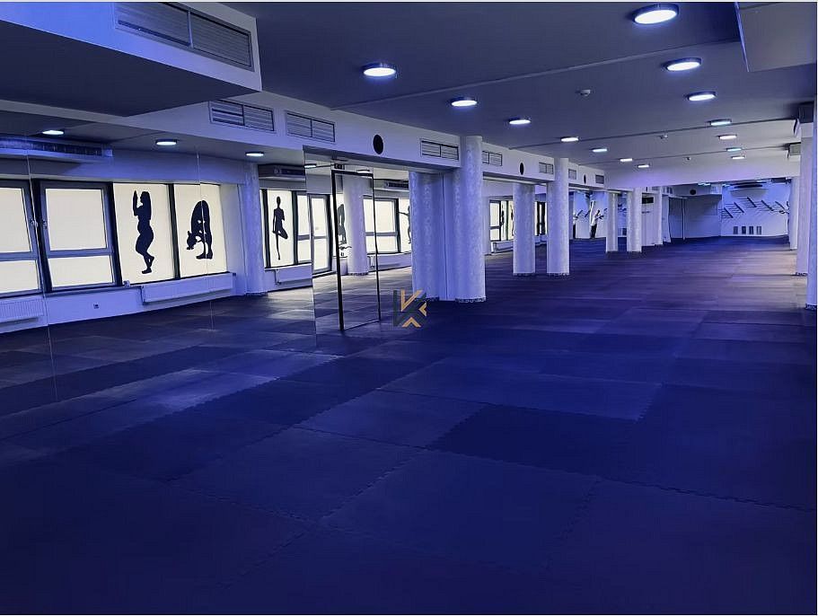 Obchodní prostory, Praha - Vinohrady, okres Praha 3, Hlavní město Praha, 360 m² - 2