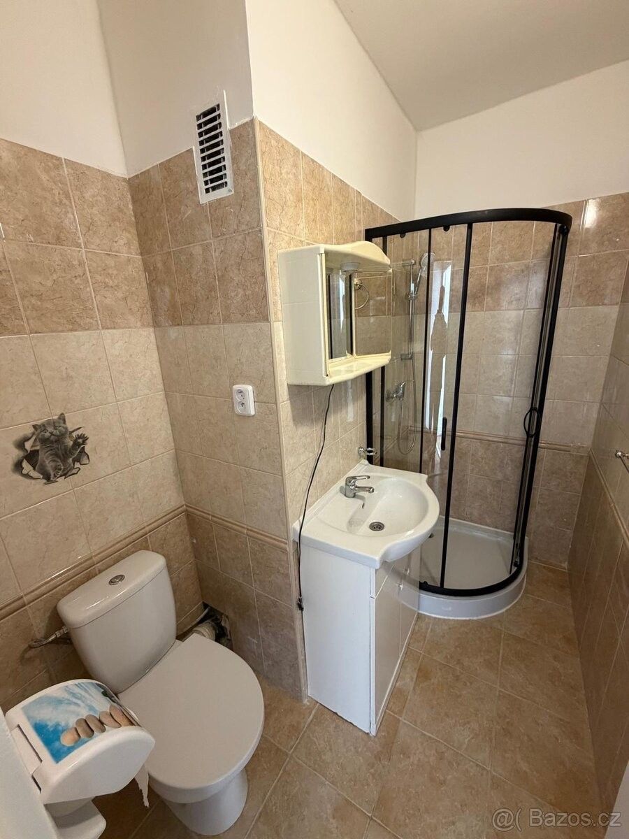 Byty, Chomutov, 430 04 - 1