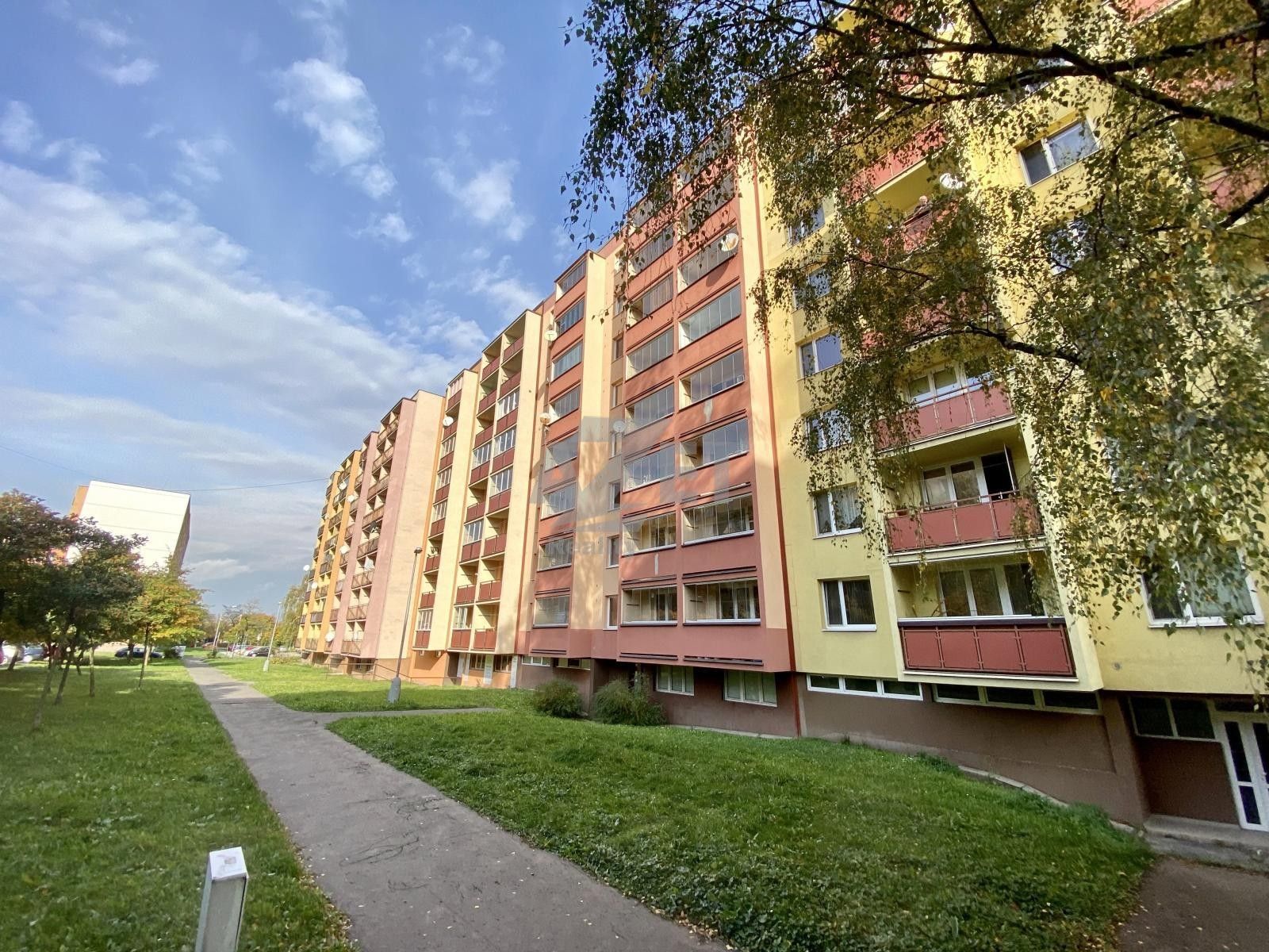 1+1, Josefa Brabce, Ostrava, 40 m²