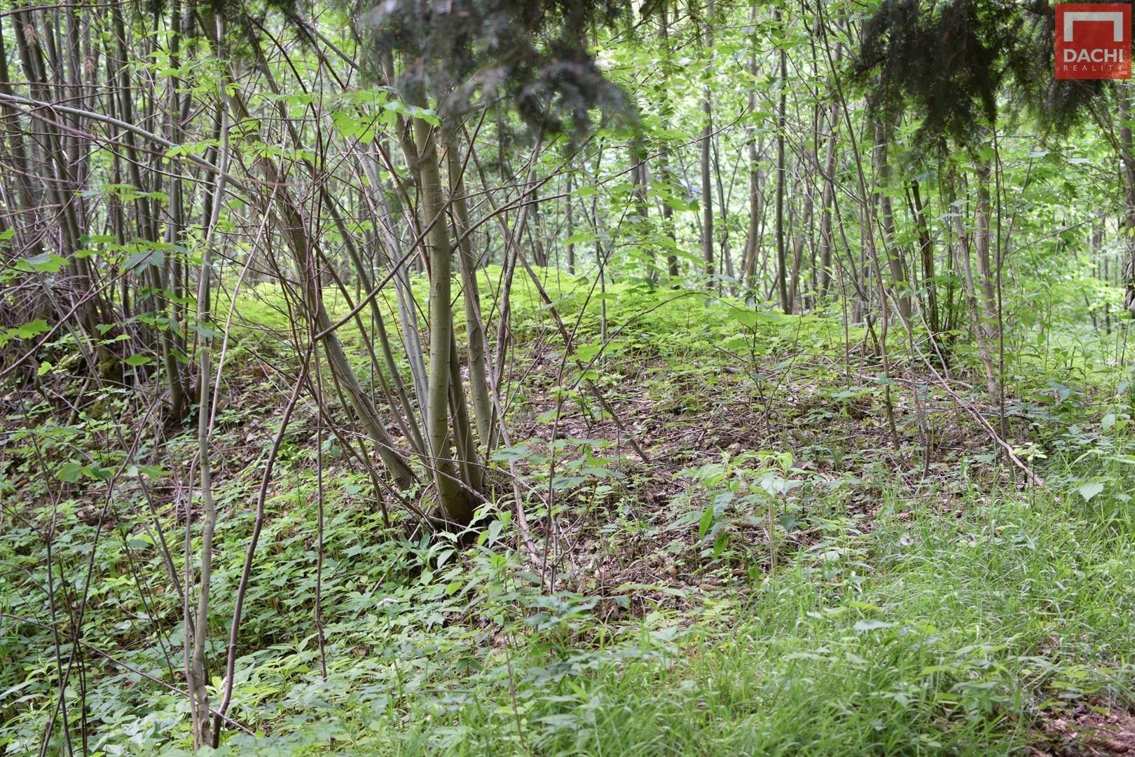 Pozemek · 4 584 m² · Horní Heřmanice - 4