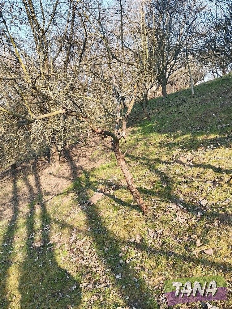 Rodinné domy, Cerhenice - Cerhýnky, okres Kolín, Středočeský kraj, 145 m² - 2