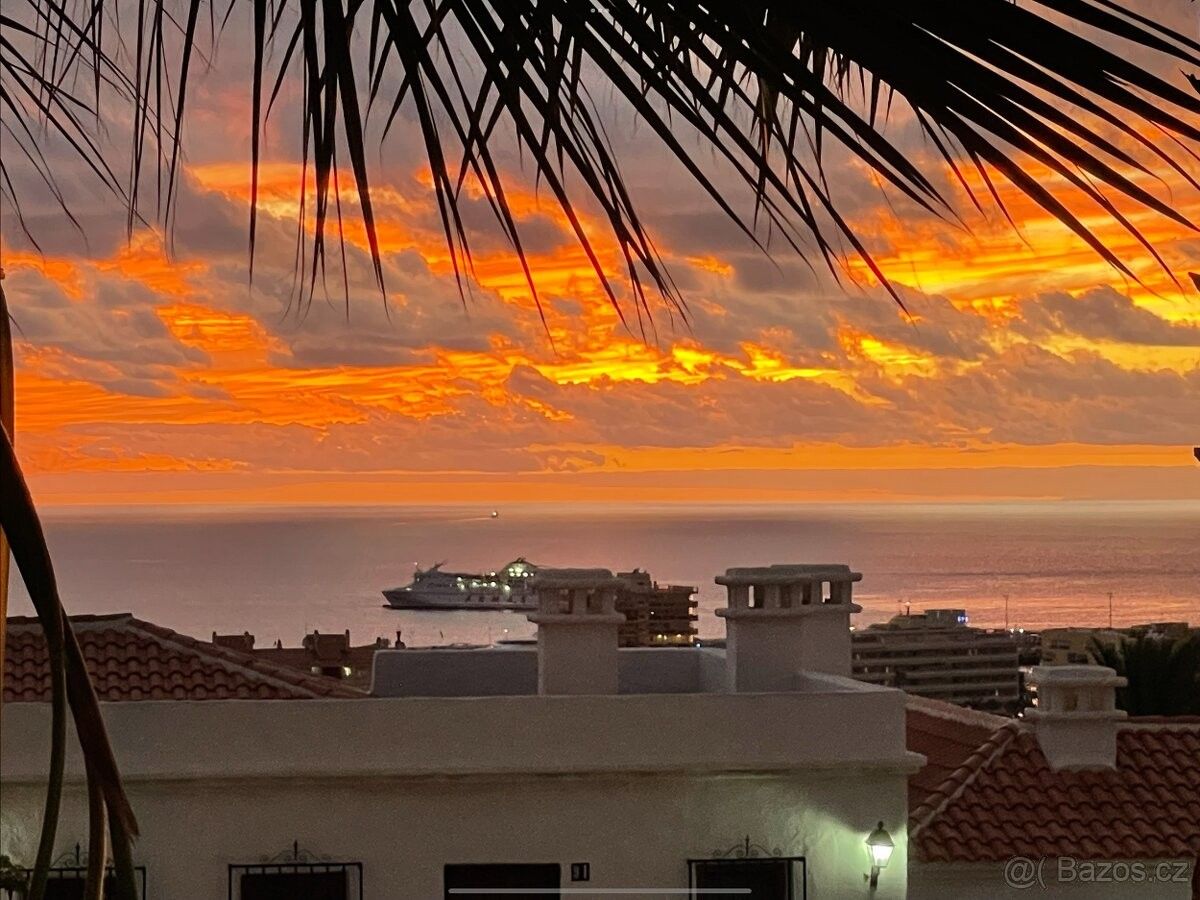 Byty, Olomouc, 783 01