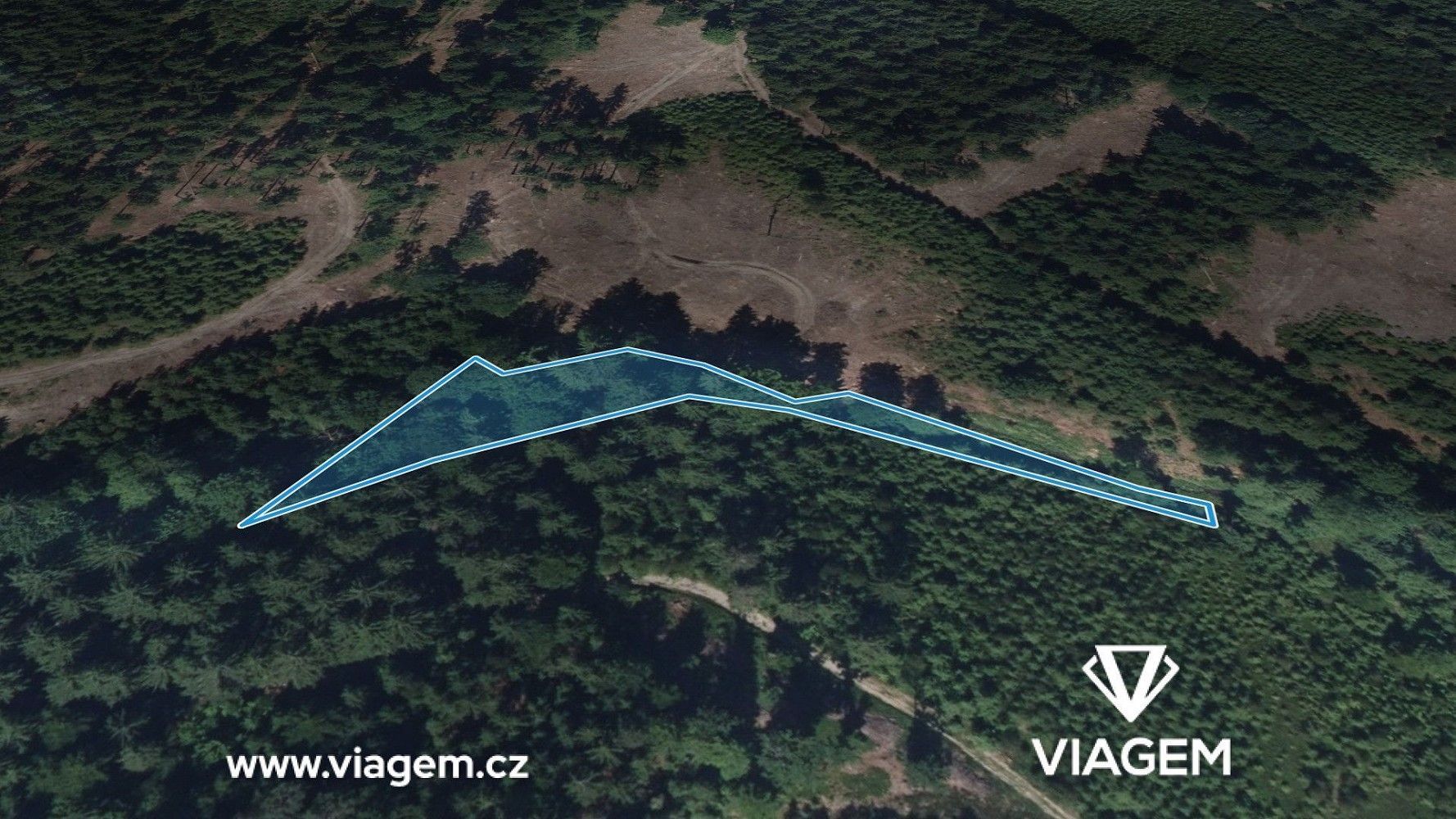 Prodej les - Vysoké nad Jizerou, okres Semily, Liberecký kraj - 2