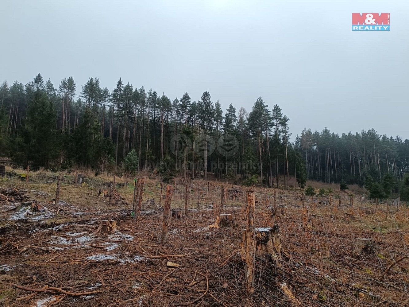 Lesy, Vacovice, okres Strakonice, Jihočeský kraj - 1