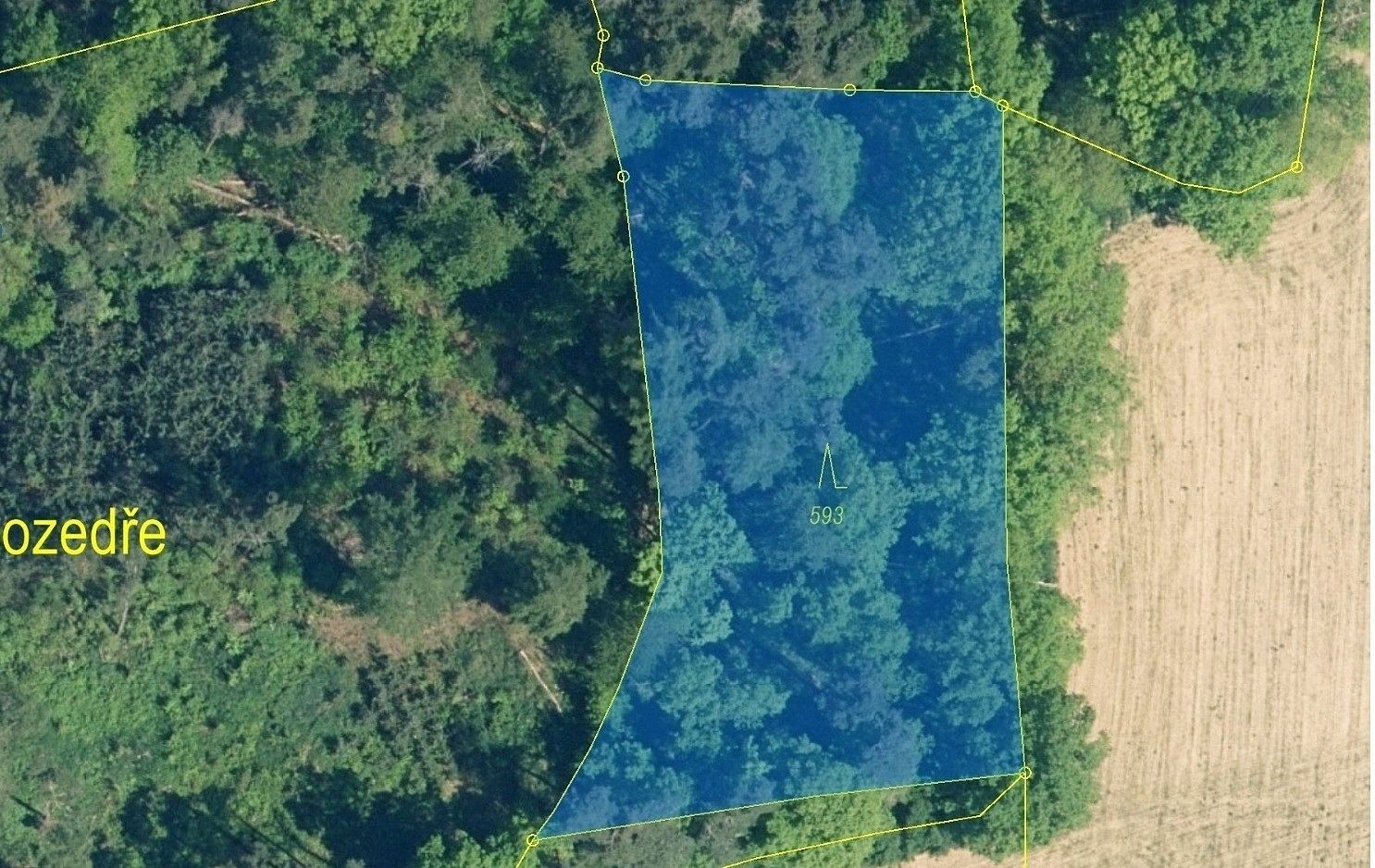 Prodej les - Hradiště, okres Plzeň-jih, Plzeňský kraj - 2