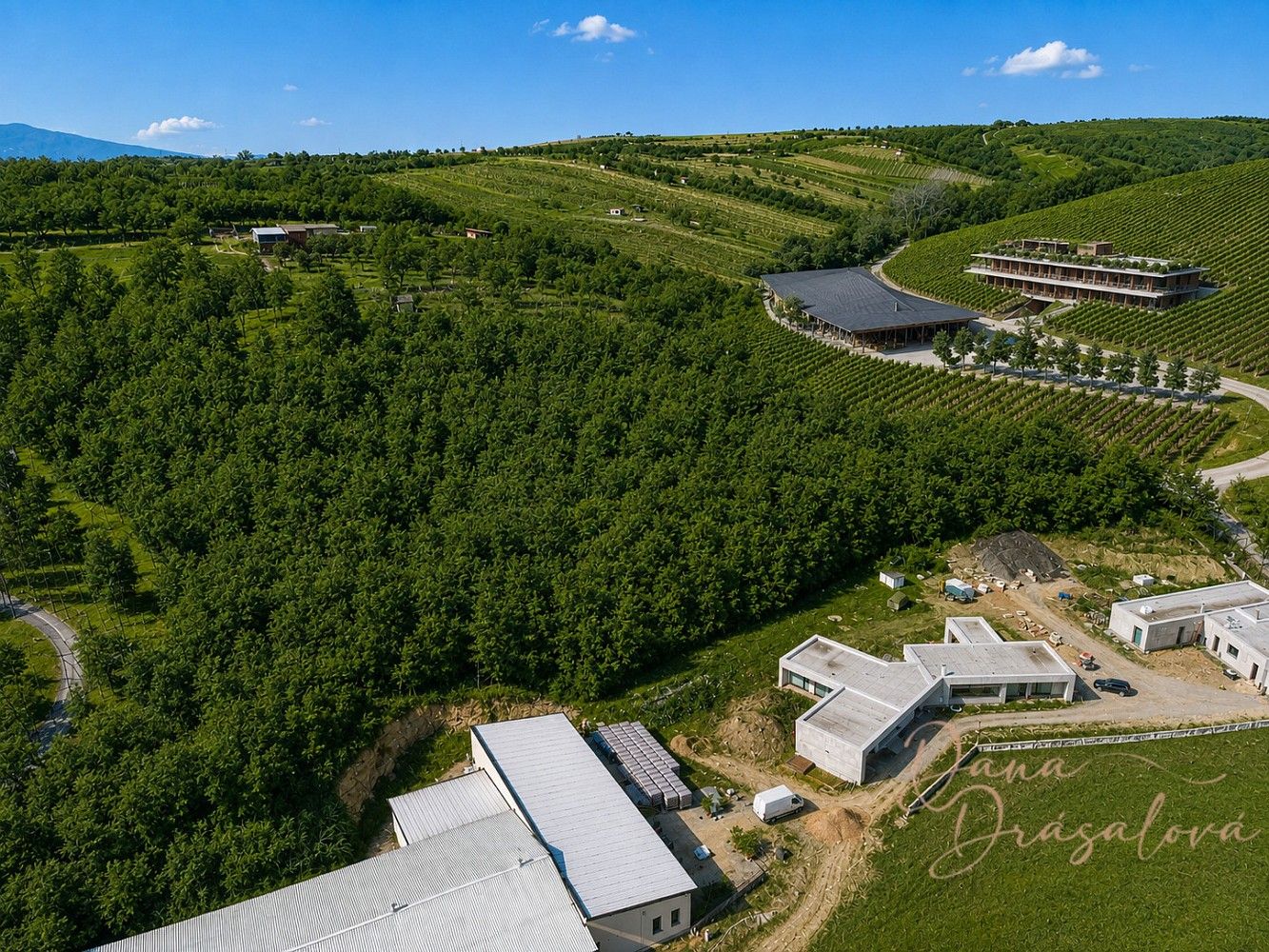 Komerční pozemky, Velké Pavlovice, okres Břeclav, Jihomoravský kraj - 1