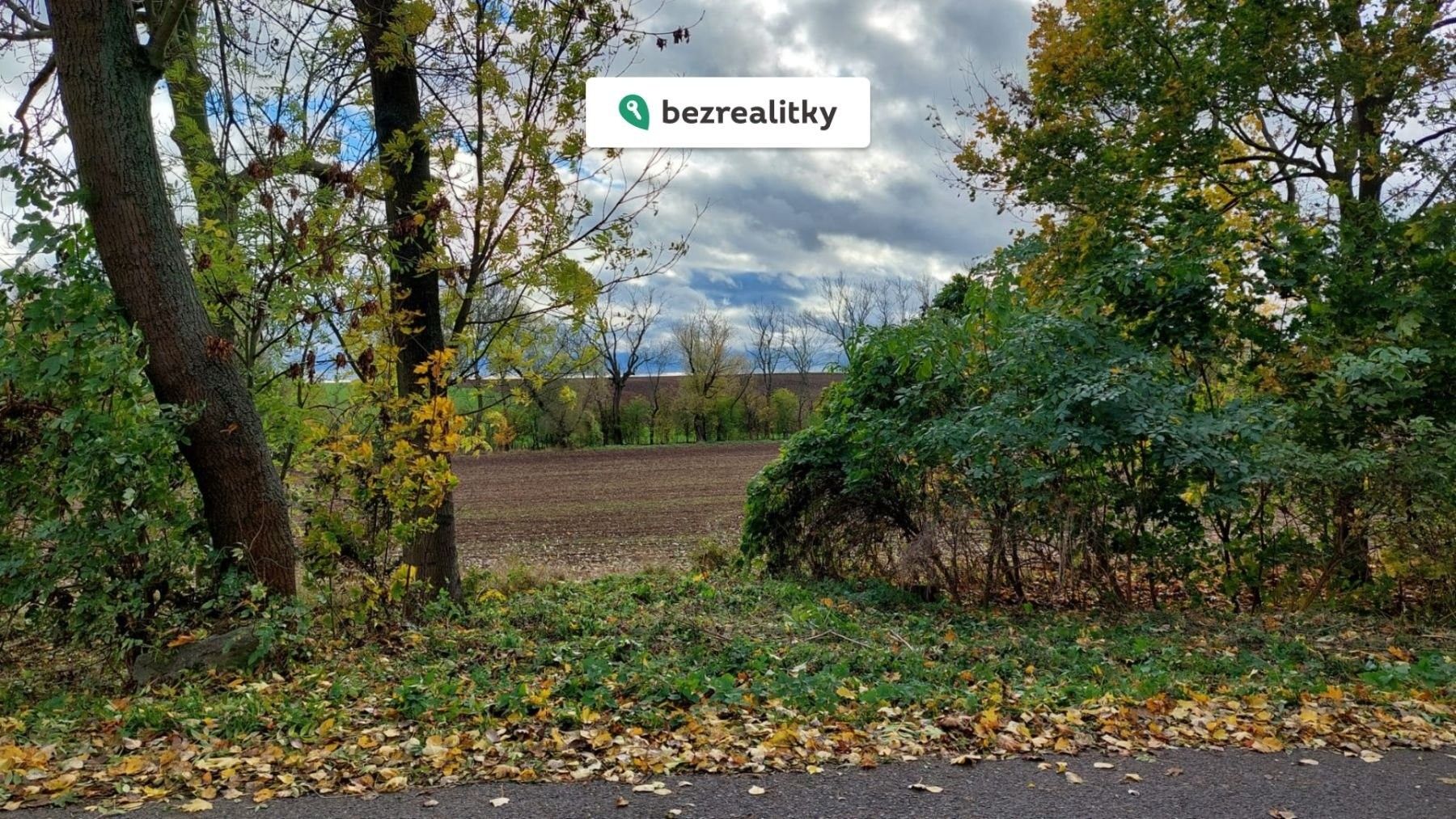 Prodej pozemek pro bydlení - Černuc