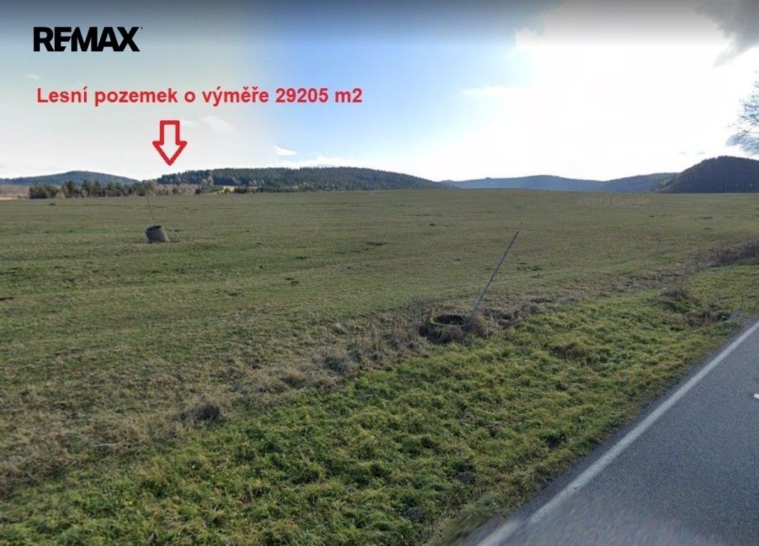 Prodej les - Borová Lada, 29 205 m² - 5
