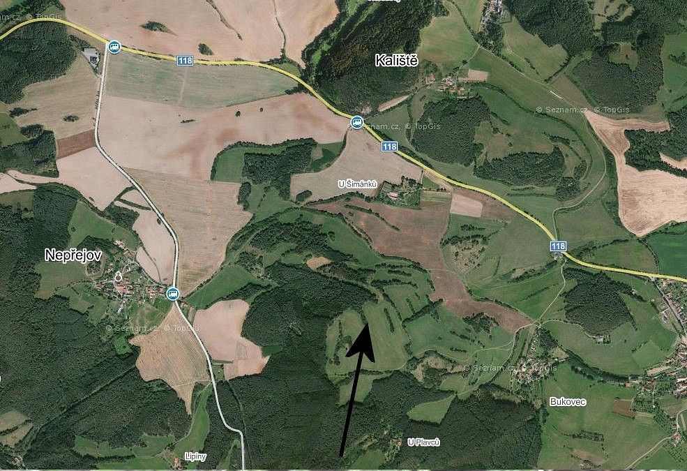 Les · Zduchovice, okres Příbram, Středočeský kraj - 4