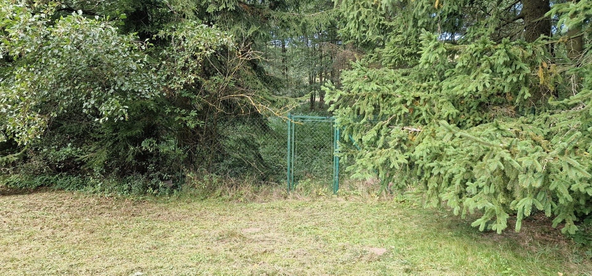 Prodej pozemek pro bydlení - Zbraslavice Ostrov - 5