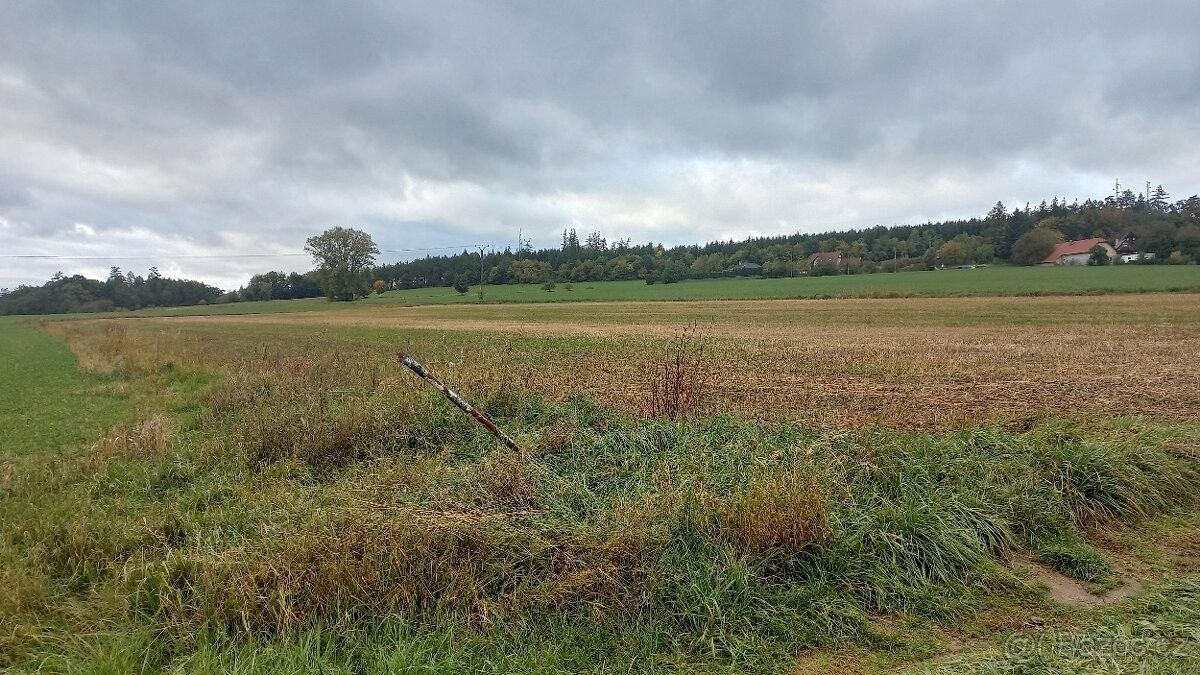 Pozemky pro bydlení, Sázava, 285 06