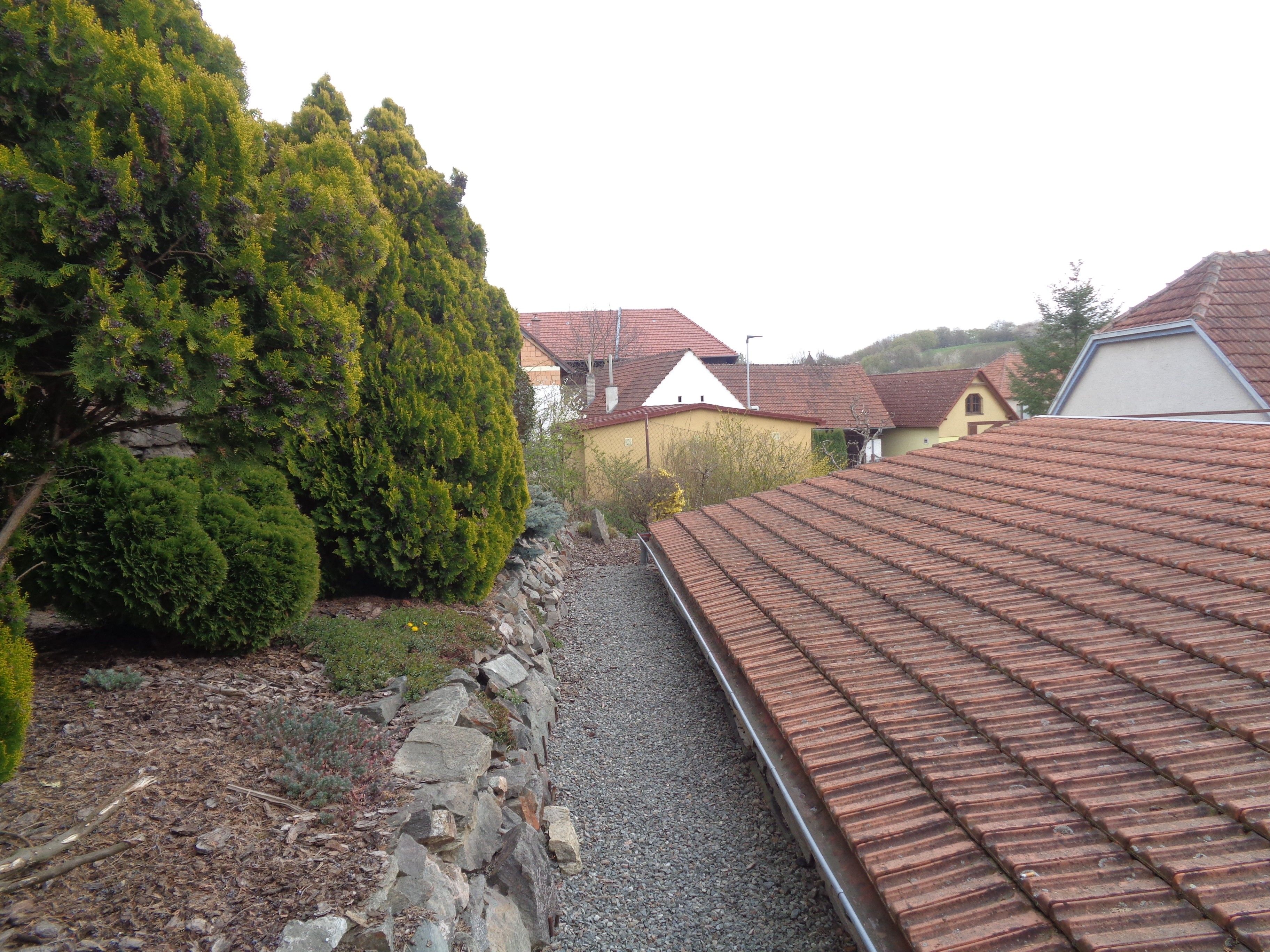 House in Kaly, okres Brno-venkov - View 5