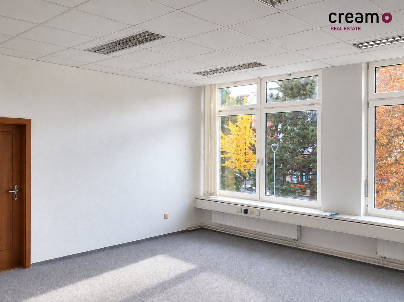 Kanceláře, J. Palacha, Břeclav, 37 m²
