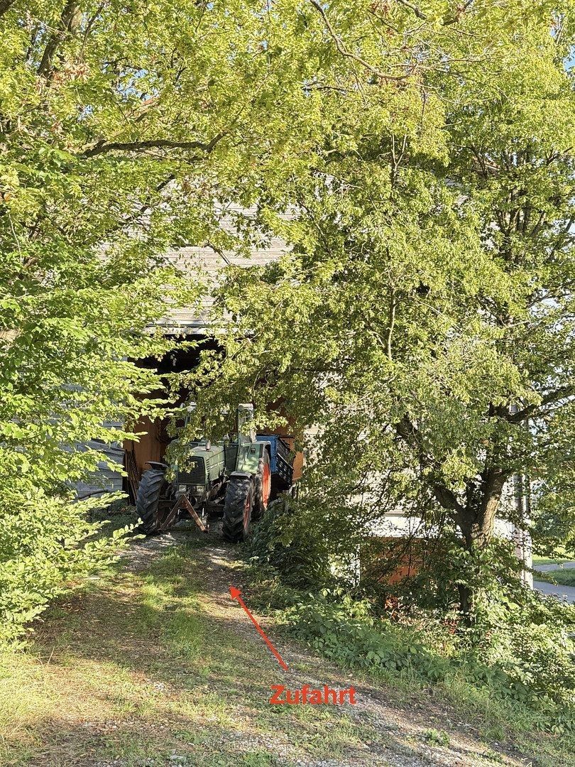 Pronájem obchodní prostory - Niederlehen 1, , Bádensko-Württembersko, 330 m² - 5