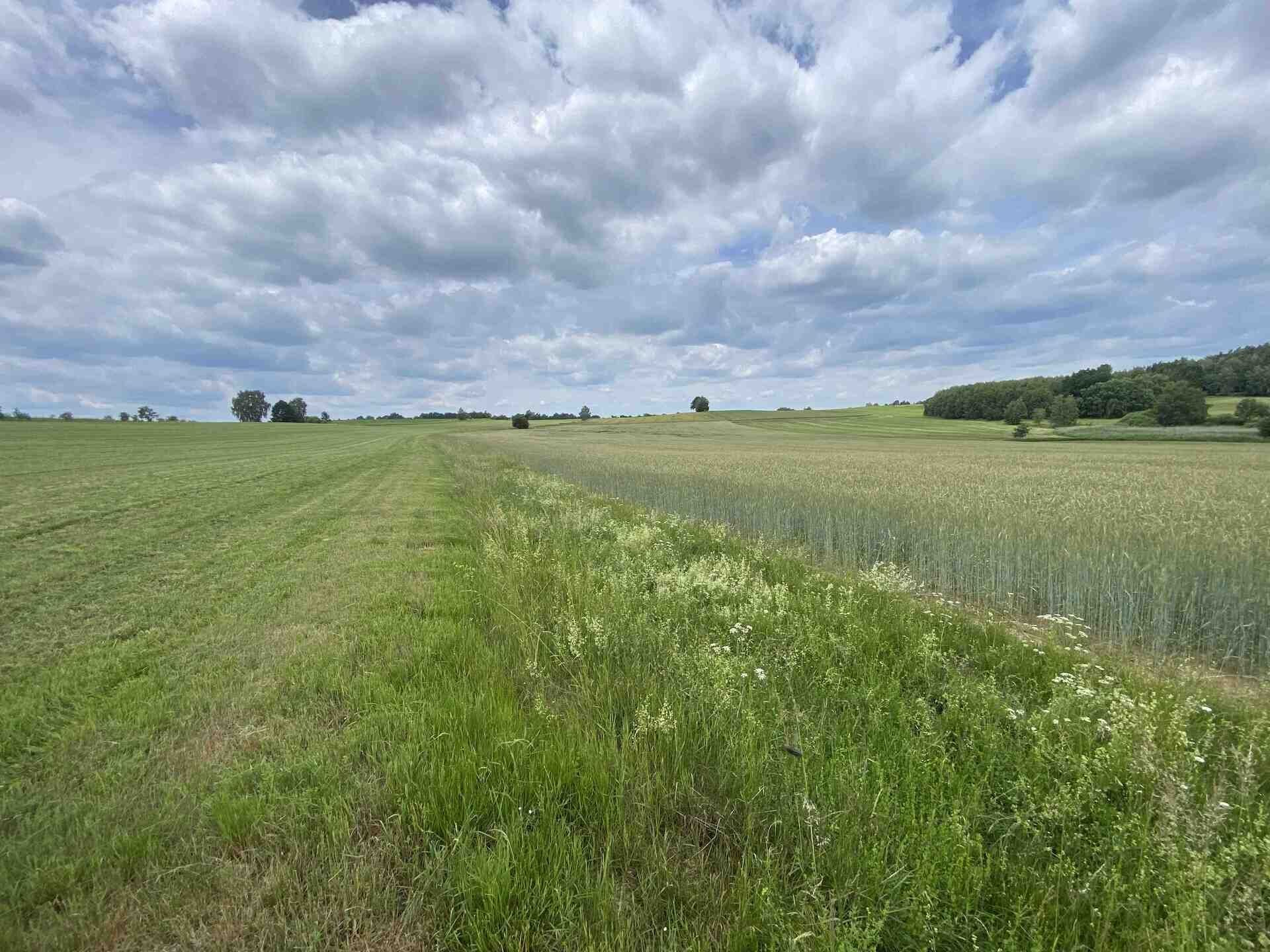 Pozemek · 2 087 m² · Člunek - 4