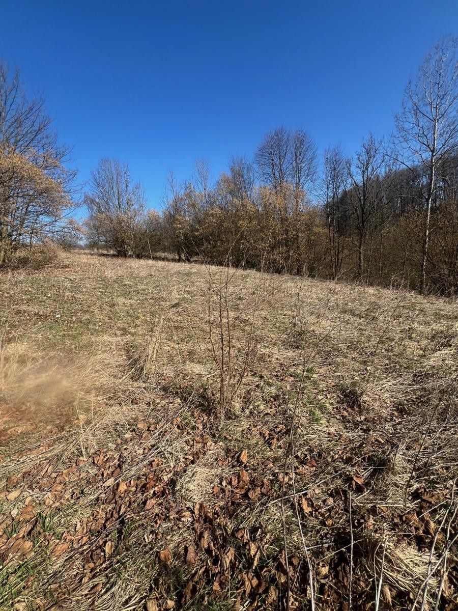 Prodej pozemek pro bydlení - Dětřichov, Svitavy, 6 057 m²