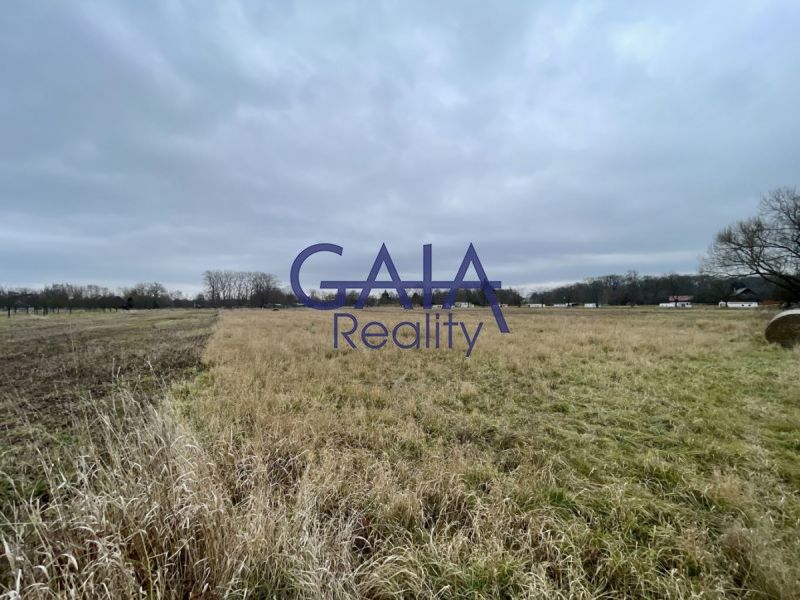 Zemědělské pozemky, Veselí nad Moravou - 1