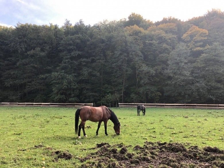 Pozemky pro bydlení, 987 65, Slovensko
