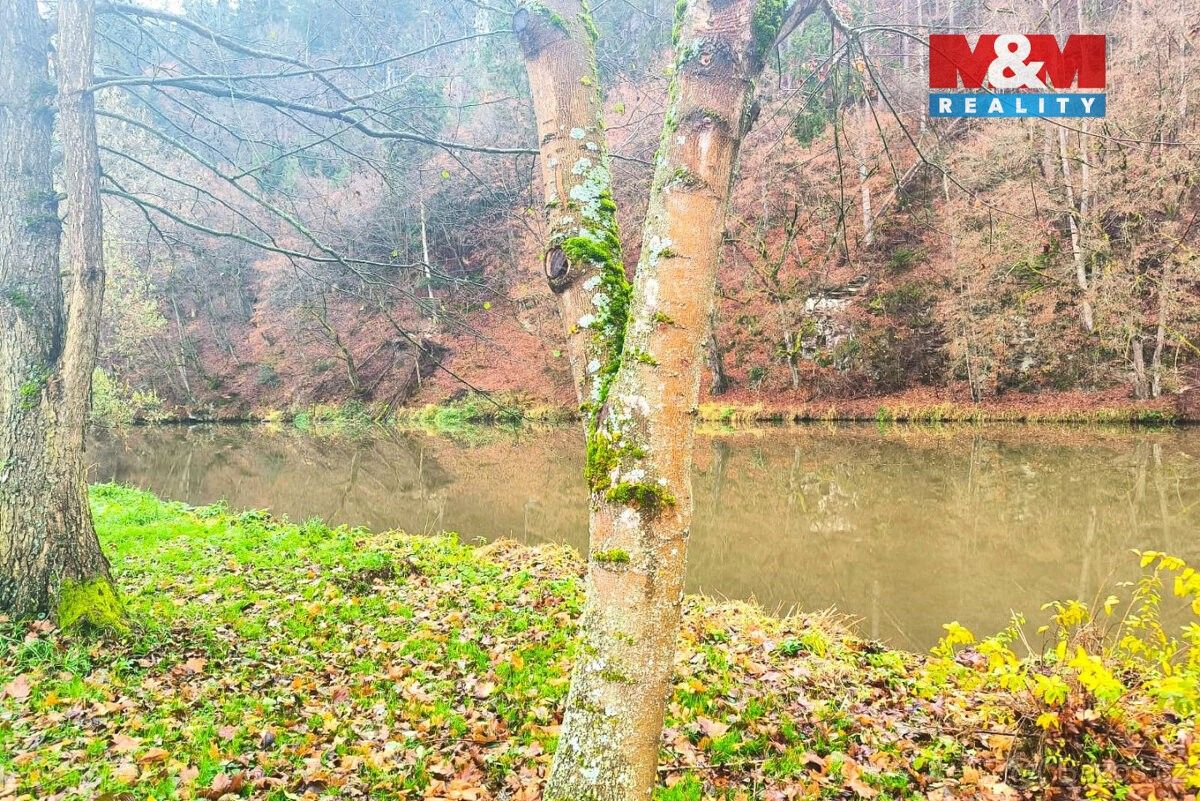 Prodej pozemek pro bydlení - Vlastějovice, 285 23