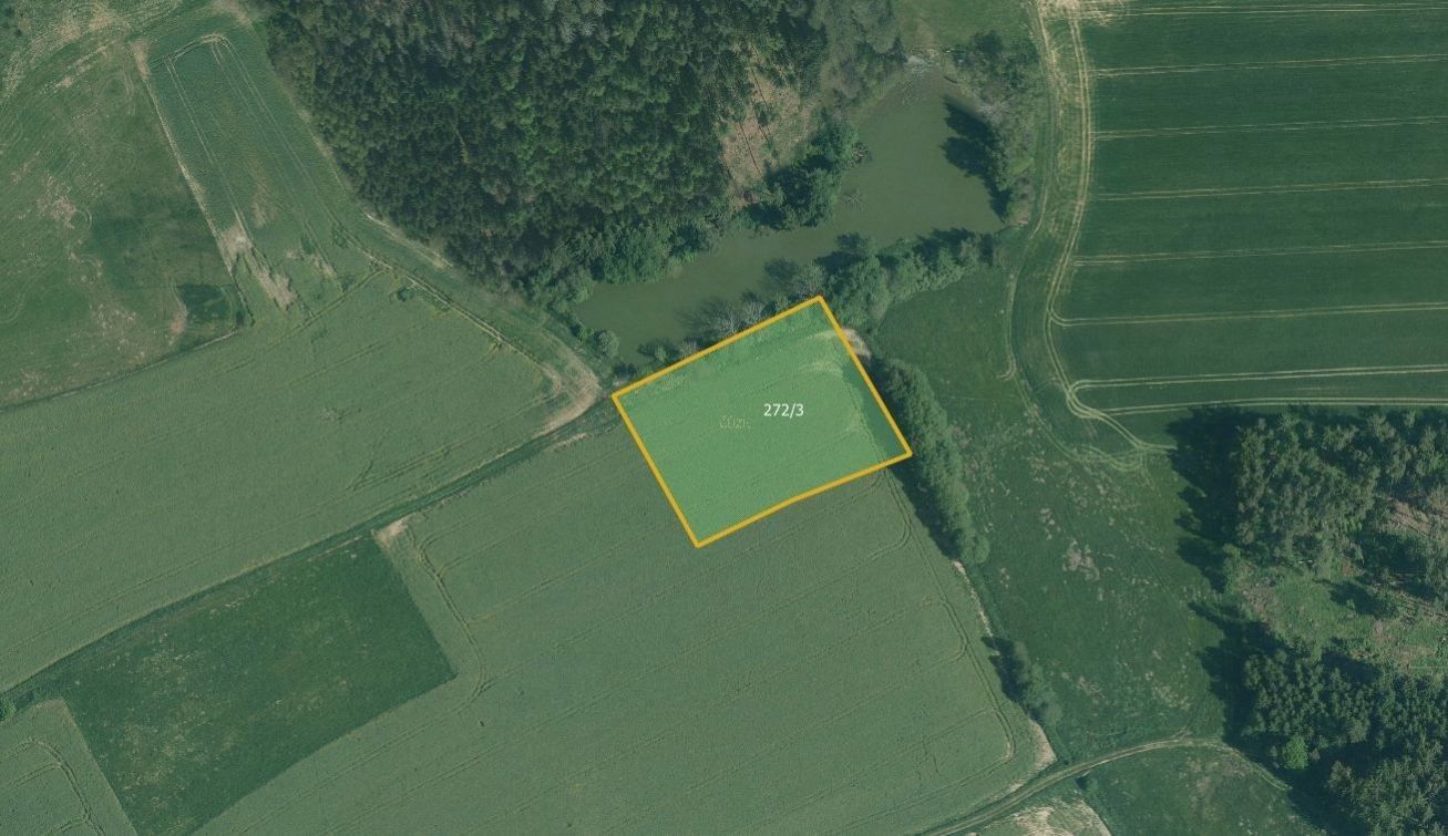 Prodej zemědělský pozemek - Horní Radouň