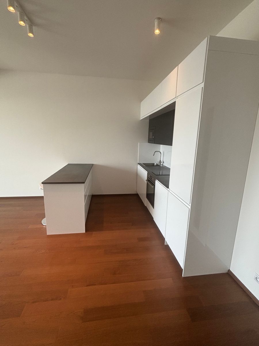 2+kk, Jankovcova, Praha - Holešovice, 65 m² - 2