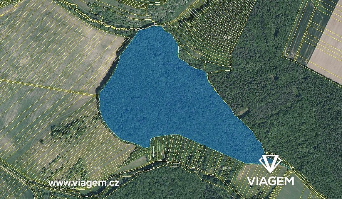 Lesy, Pašovice, okres Uherské Hradiště, Zlínský kraj - 2
