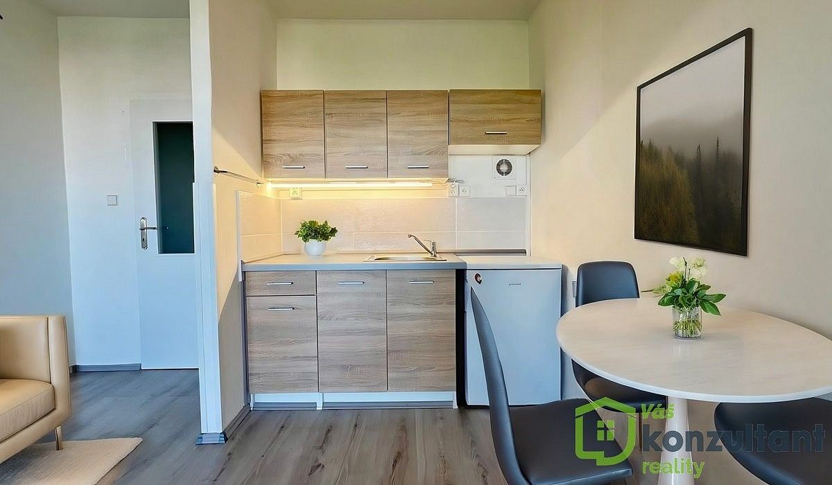 Byt 1+kk · 28 m² · Ostrava - Zábřeh, okres Ostrava-město, Moravskoslezský kraj - 3