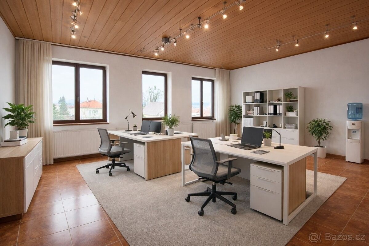 Kanceláře, Otice, 747 81