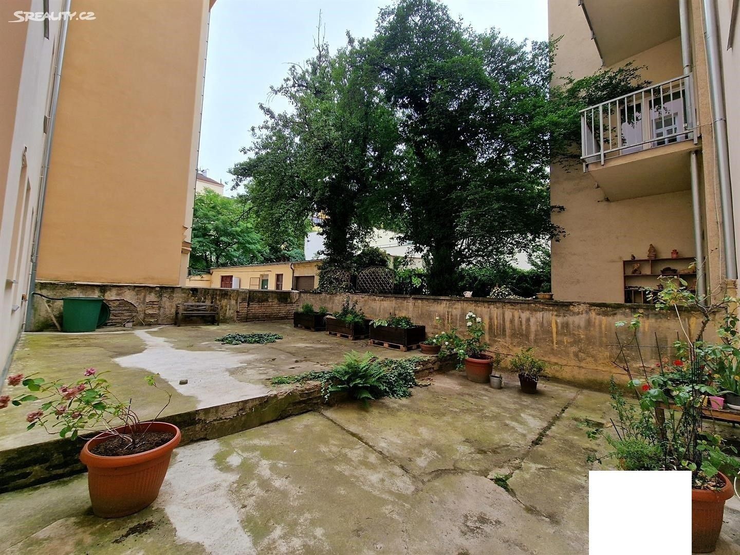 Byt 1+kk · 12 m² · Umělecká, Praha - Holešovice - 3