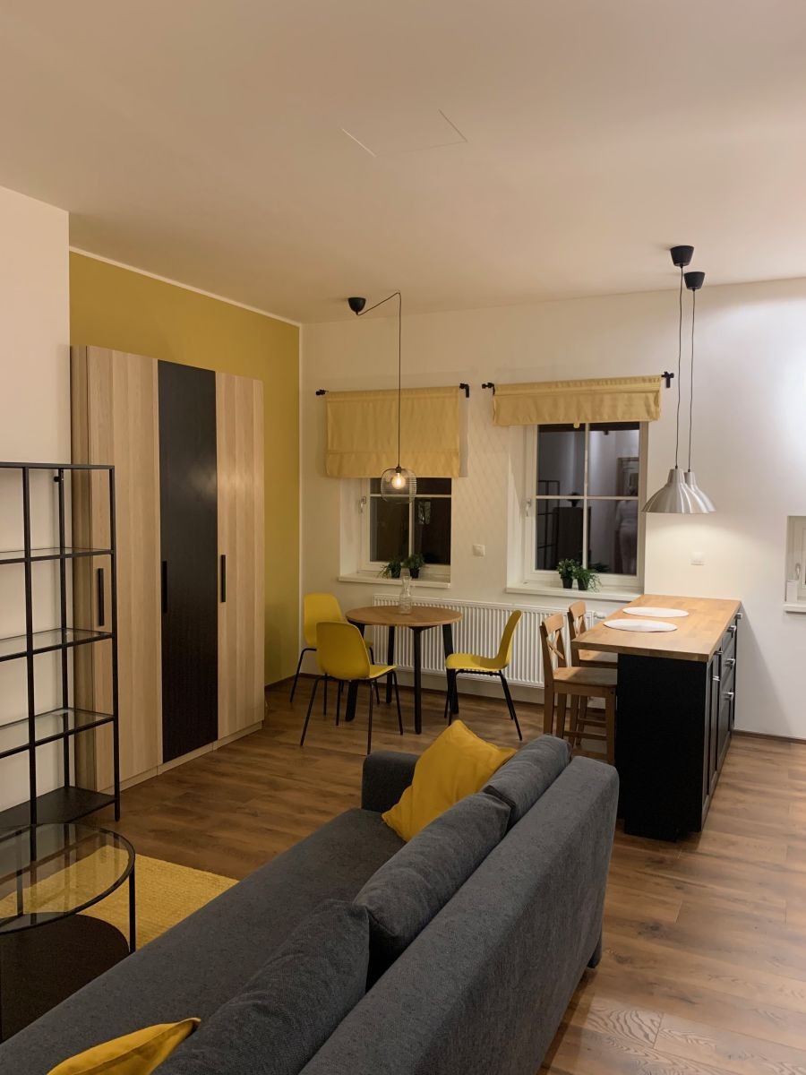 Pronájem byt 1+kk - Kotlářská, Brno - Veveří, Jihomoravský kraj, 45 m² - 5