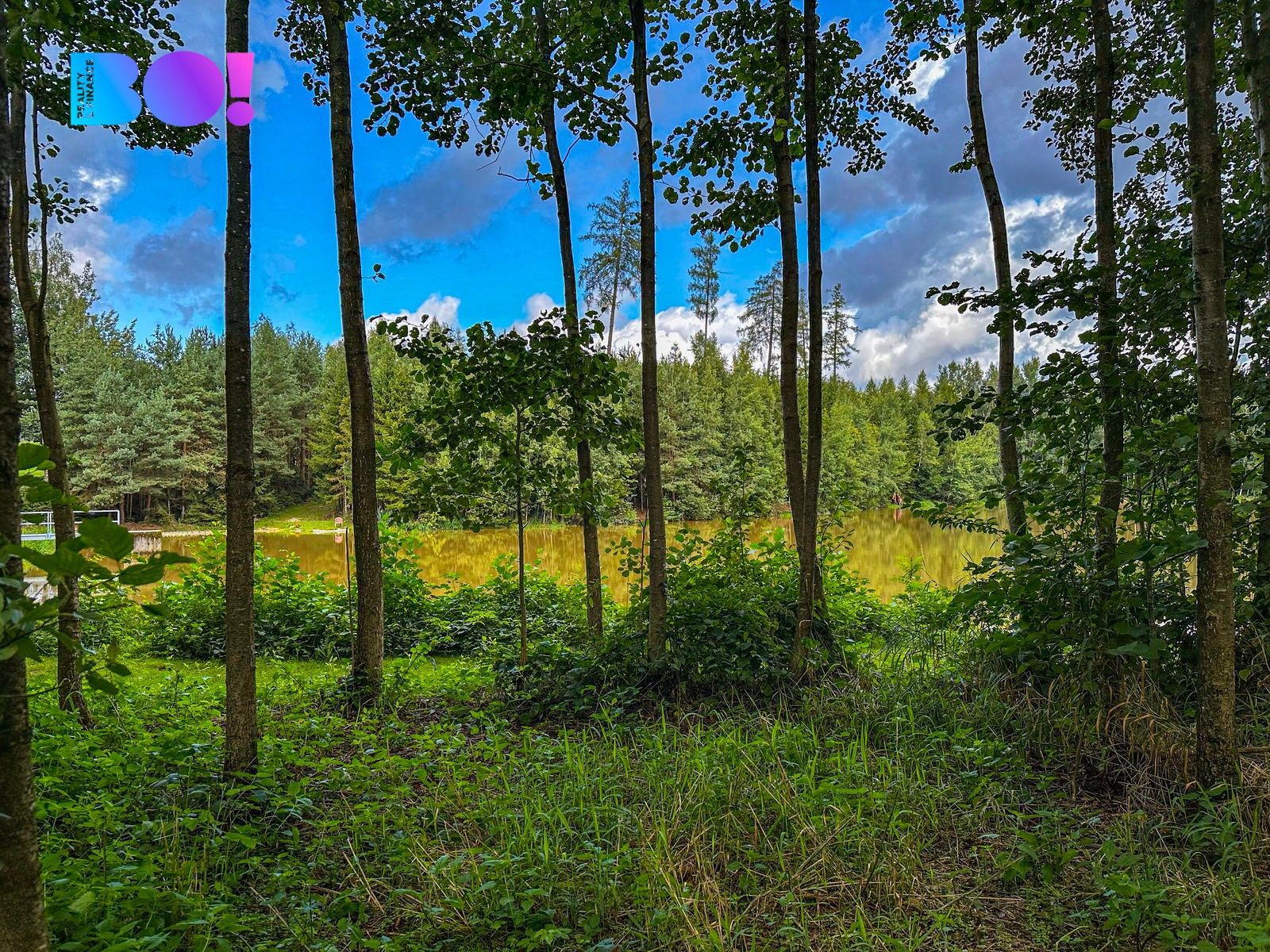 Pozemek pro bydlení · 3 959 m² · Skuhrov - 3