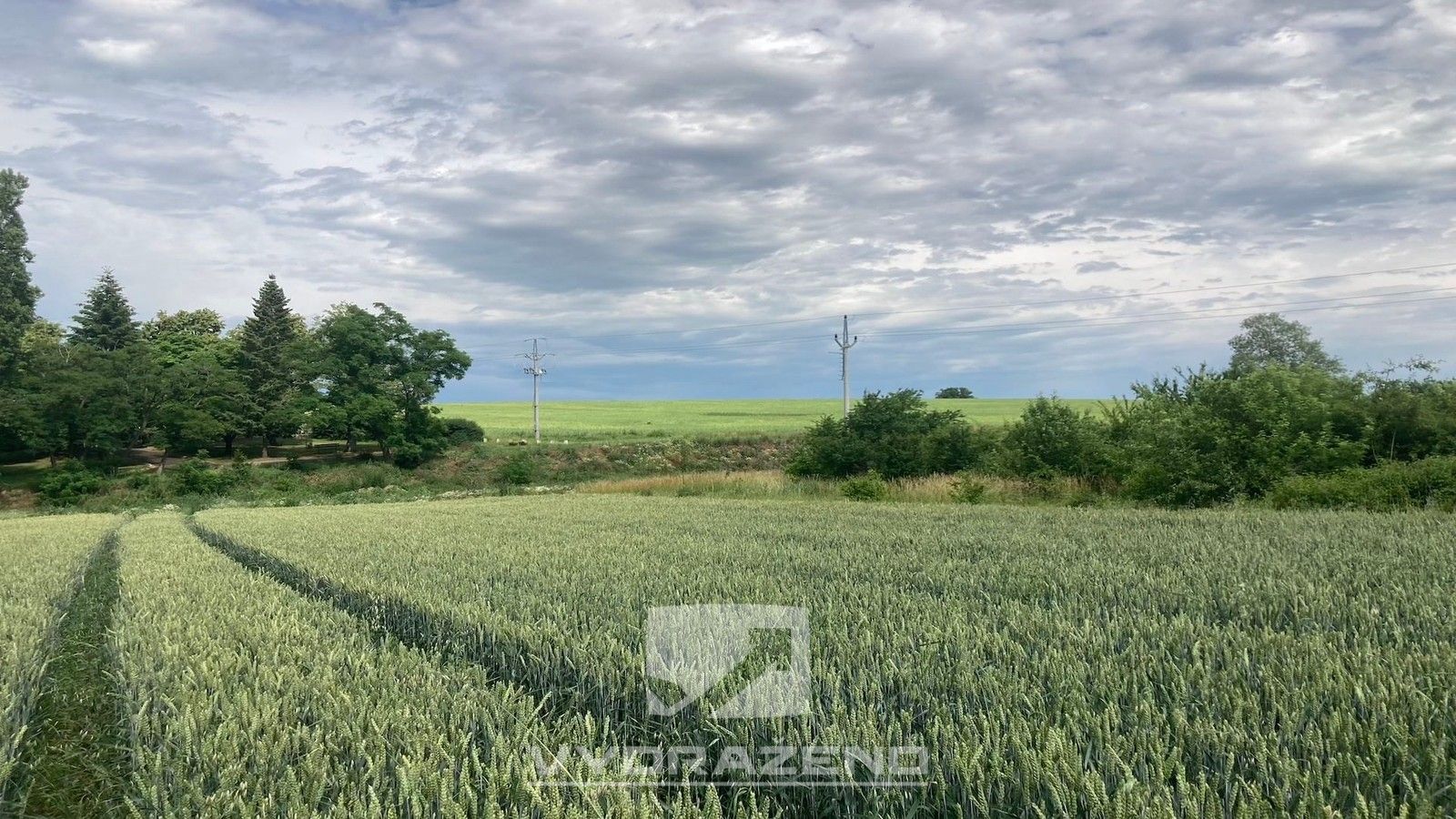 Pozemky pro bydlení, Radostice, 1 m²