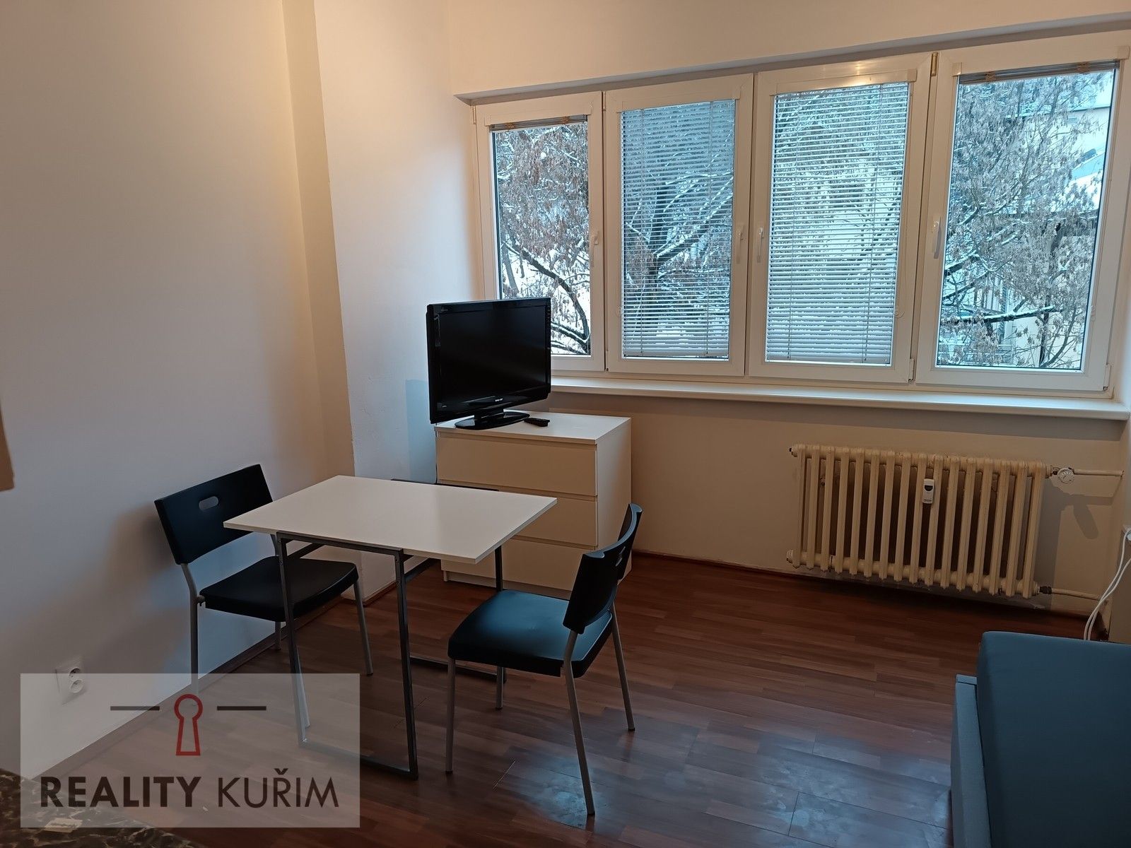 1+kk, Pellicova, Brno, 19 m²