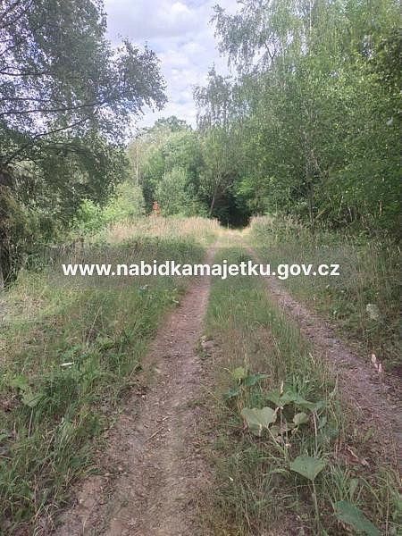 Pozemek · Kolšov, okres Šumperk - 4