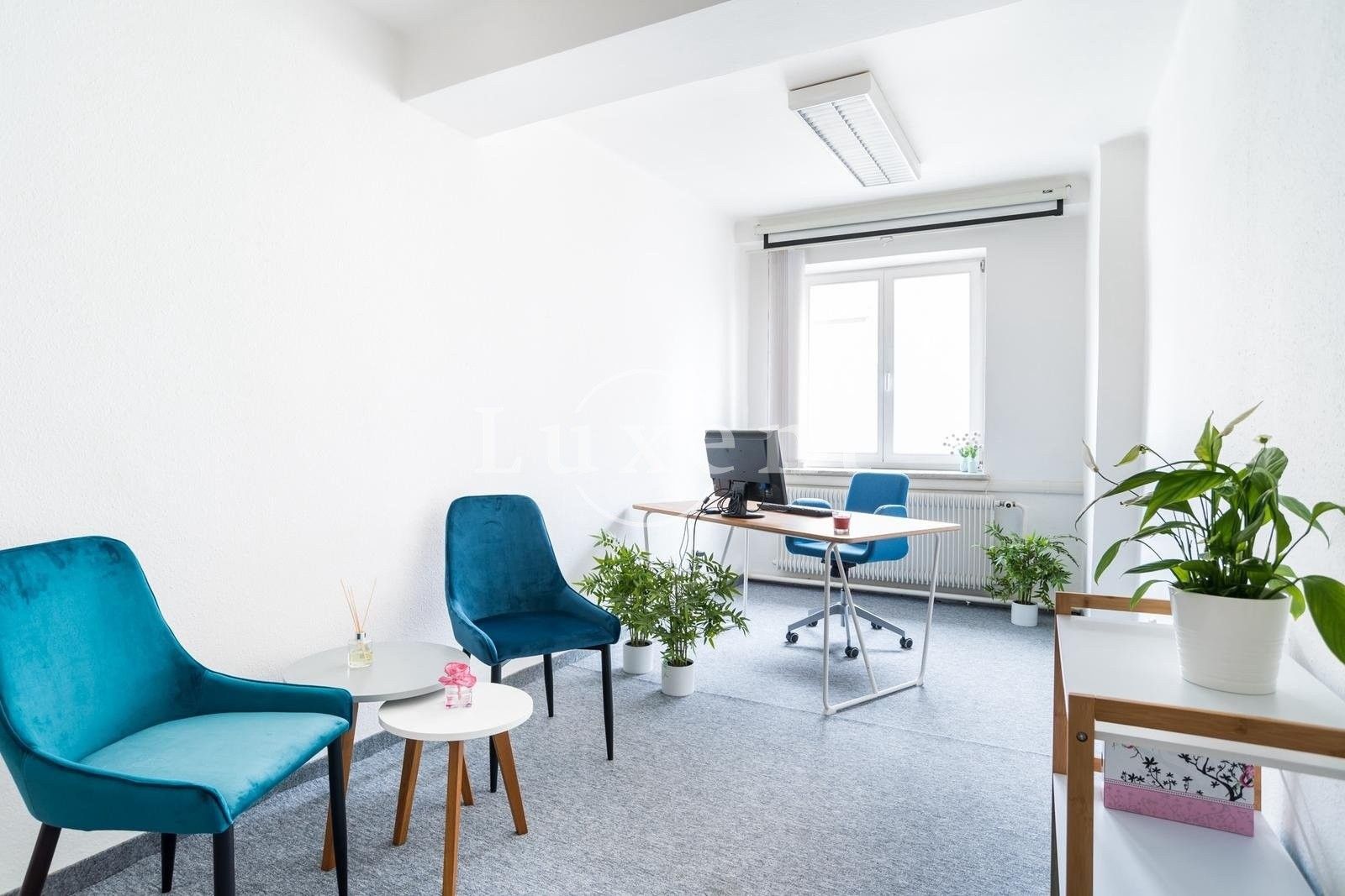 Pronájem kancelář - Břehová, Praha, 17 m²