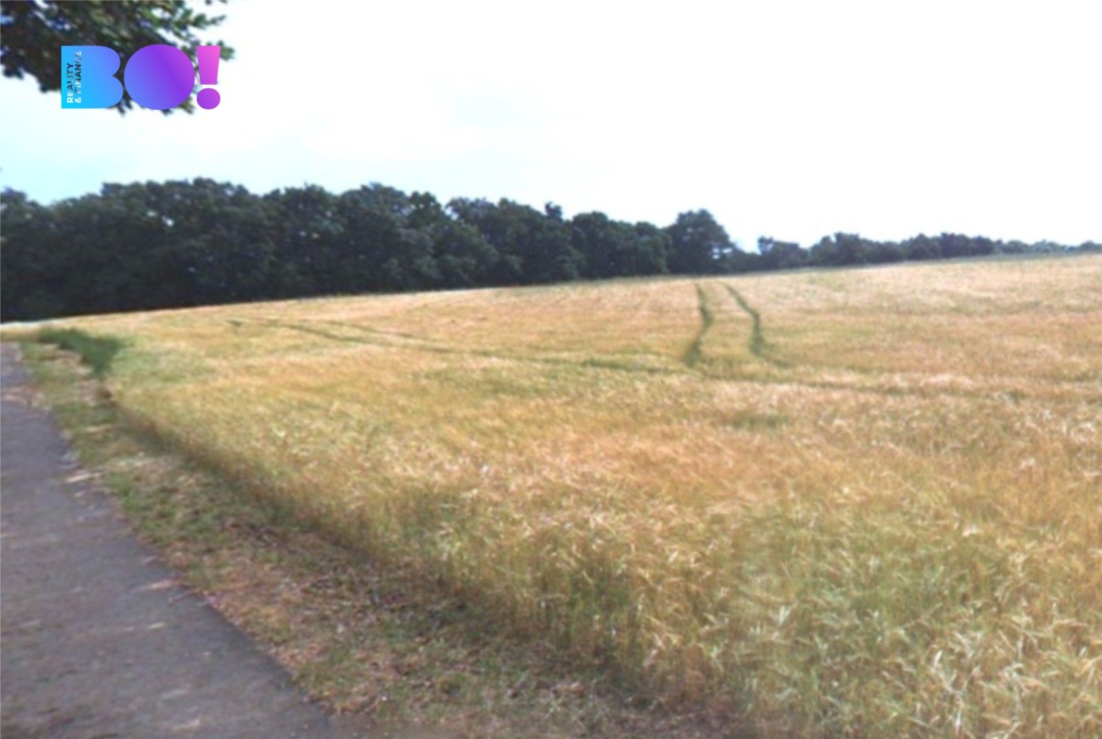 Prodej louka - , Kokořín, 3 m²