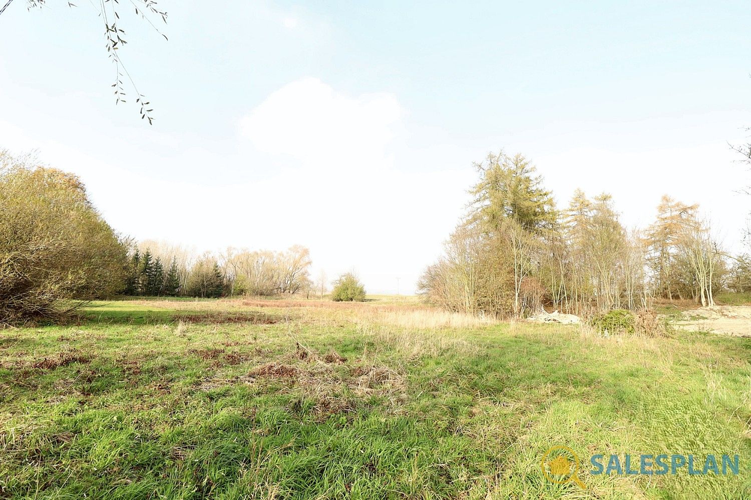 Pozemek pro bydlení · Radiměř, okres Svitavy, Pardubický kraj - 3