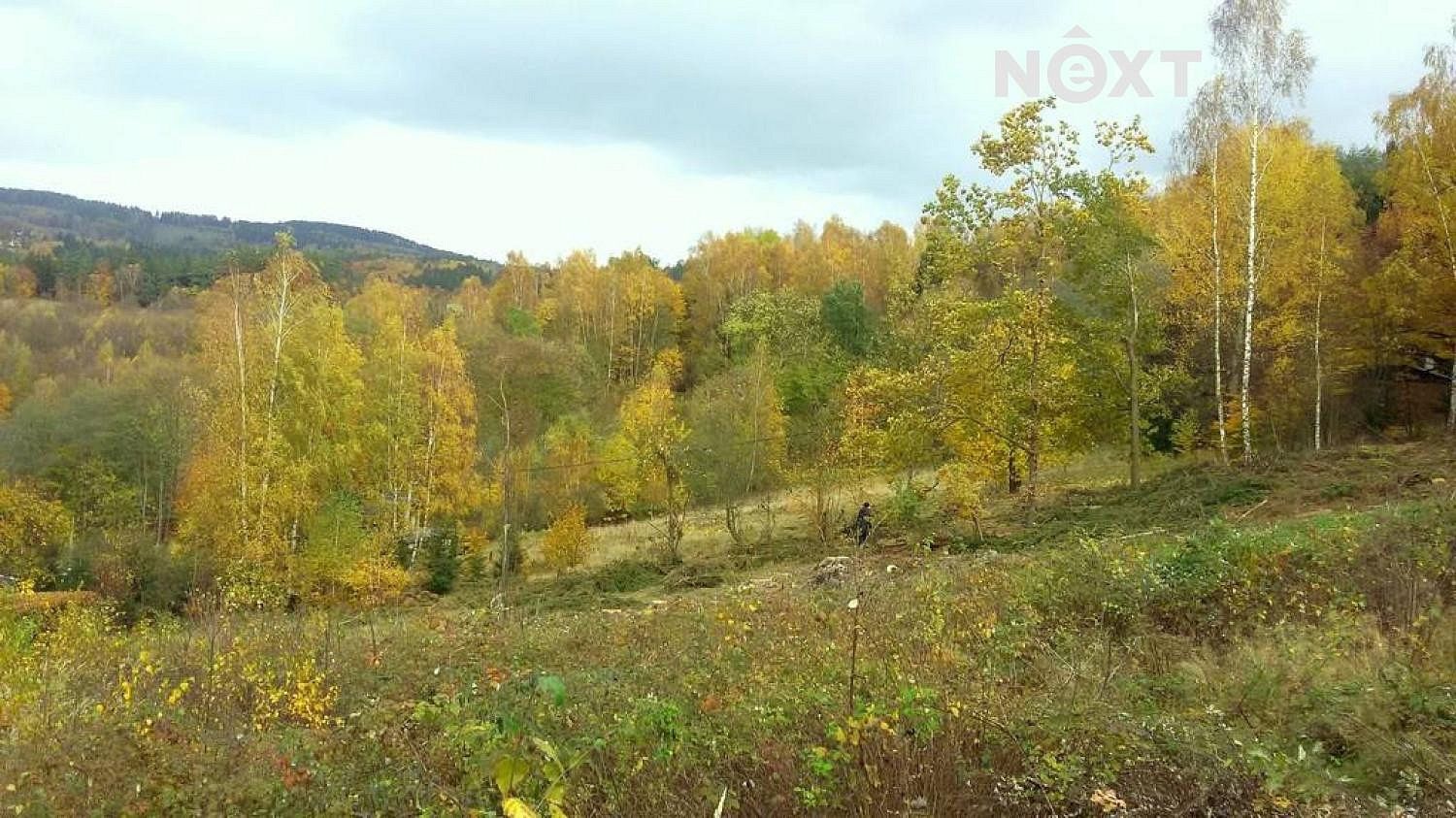 Ostatní, Líšný, okres Jablonec nad Nisou, Liberecký kraj - 1